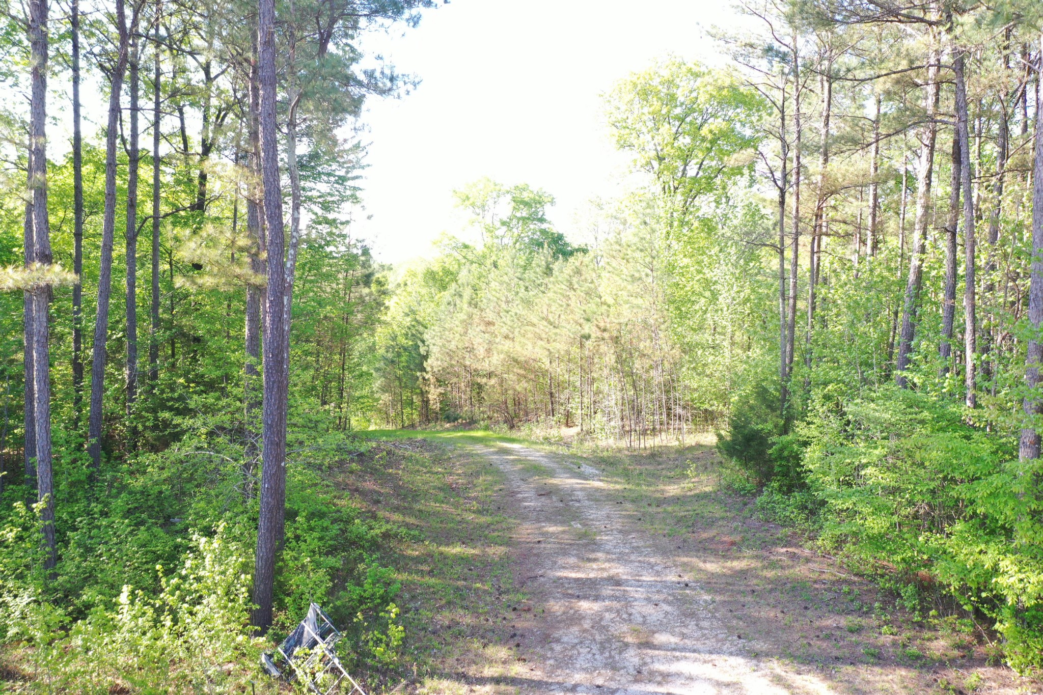 0 Manleyville Road Springville, TN 38256 - Photo 26 of 34 a view of outdoor space and trees