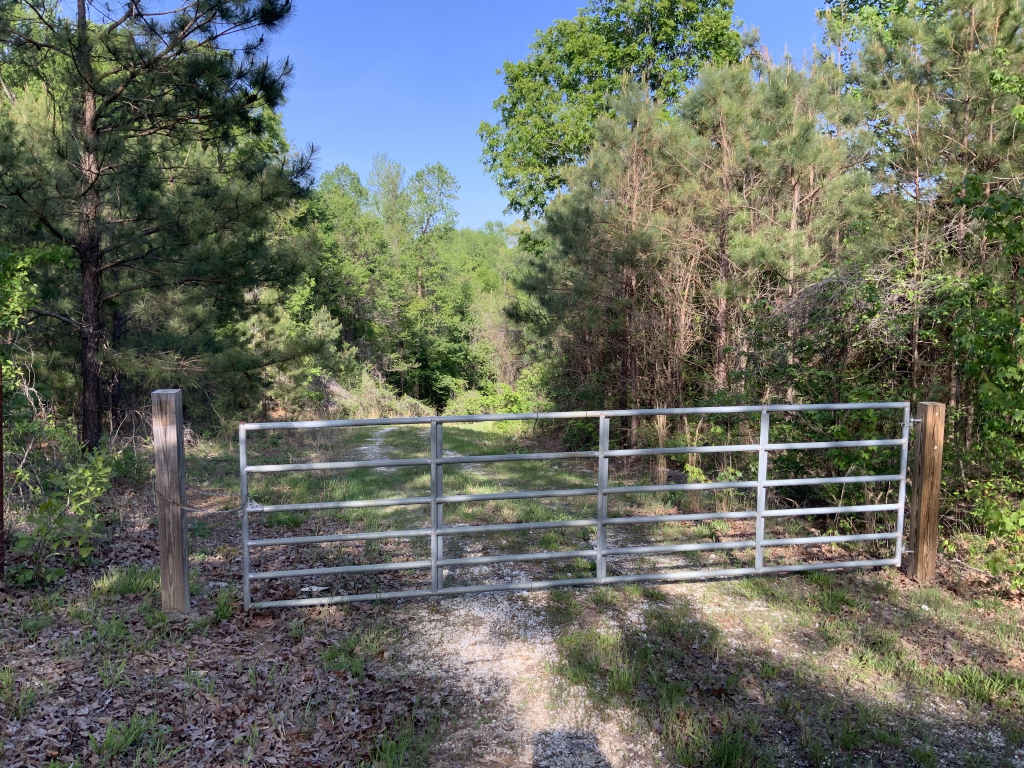 0 Manleyville Road Springville, TN 38256 - Photo 27 of 34 a view of a wooden fence and trees
