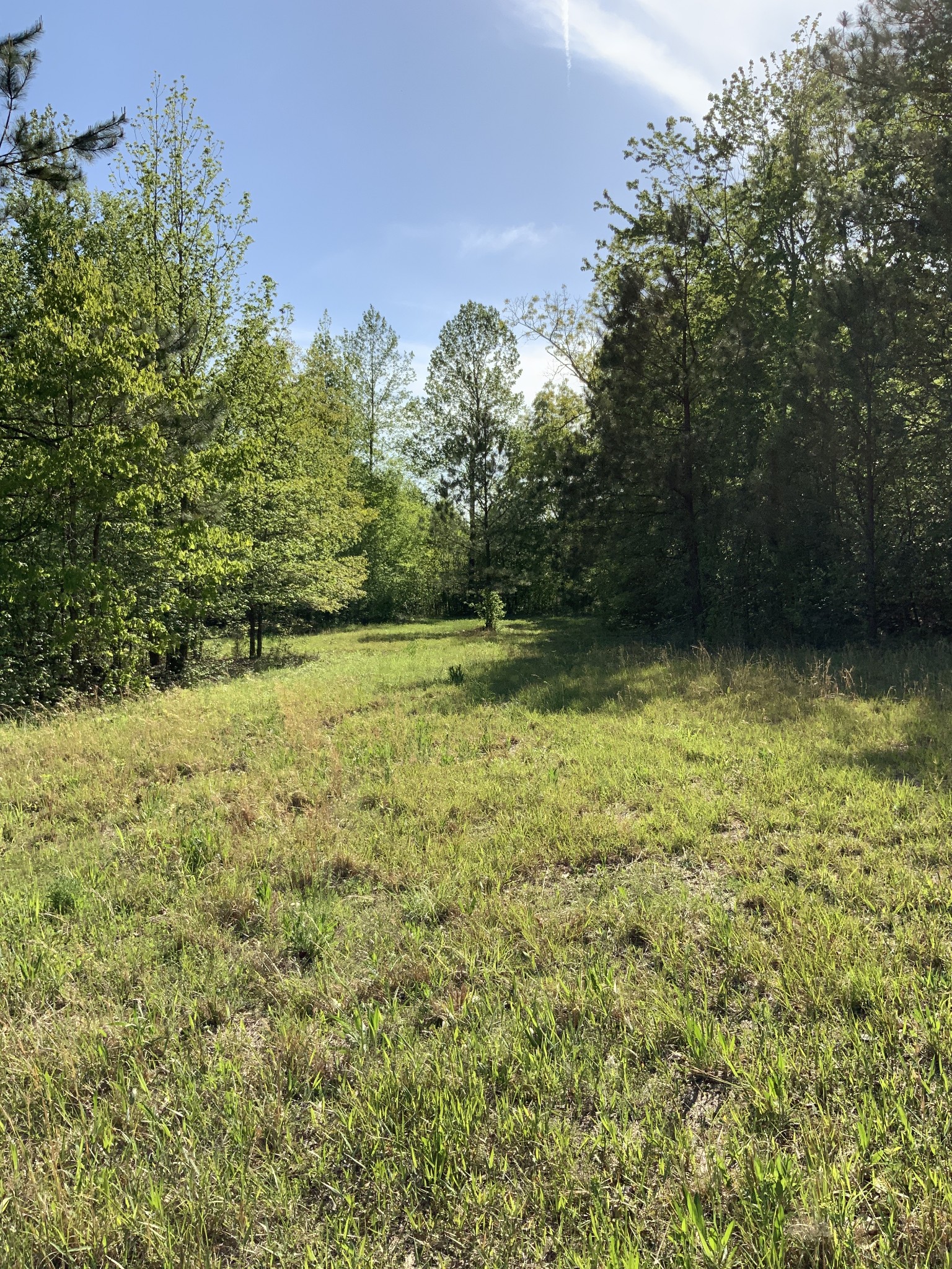 0 Manleyville Road Springville, TN 38256 - Photo 28 of 34 a view of outdoor space and yard