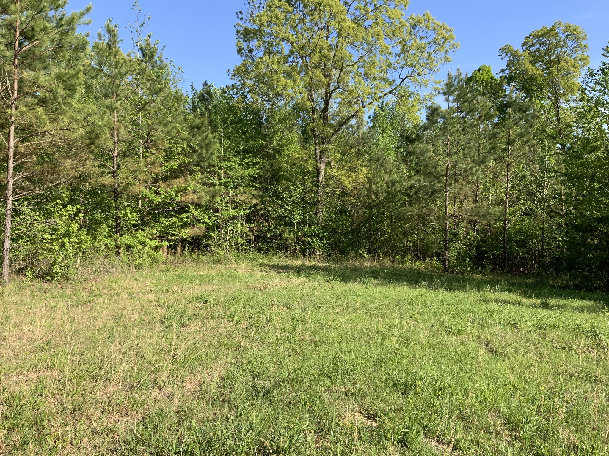 0 Manleyville Road Springville, TN 38256 - Photo 30 of 34 a view of outdoor space and yard