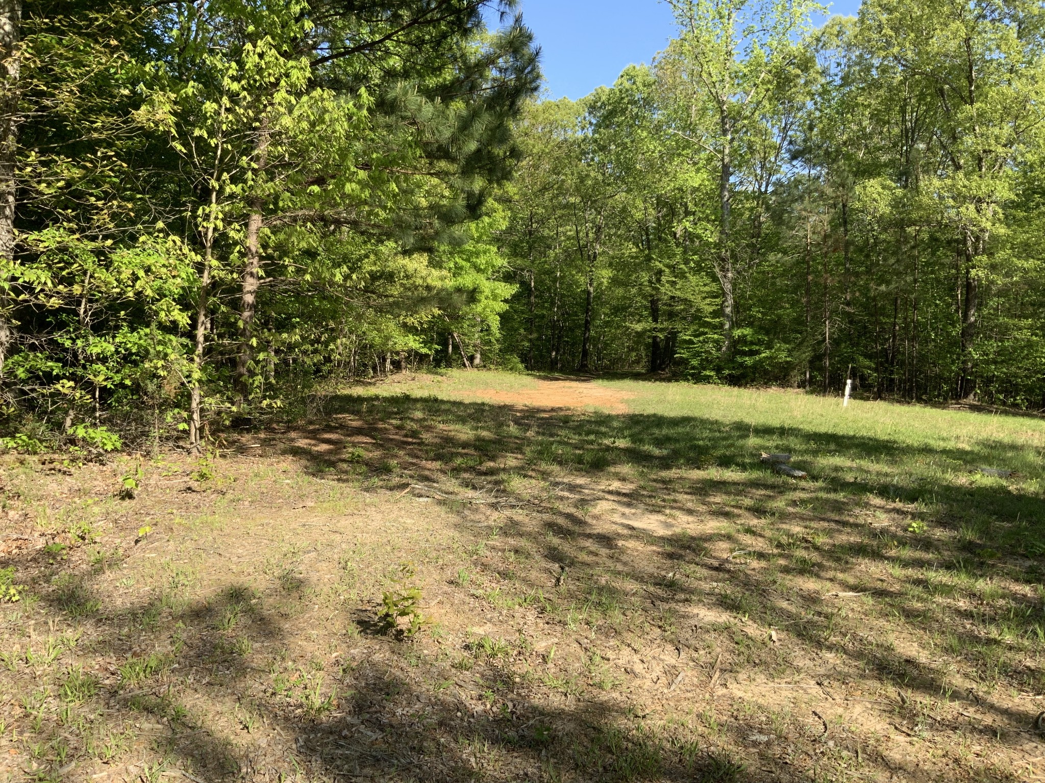 0 Manleyville Road Springville, TN 38256 - Photo 5 of 34 a view of a yard with an trees