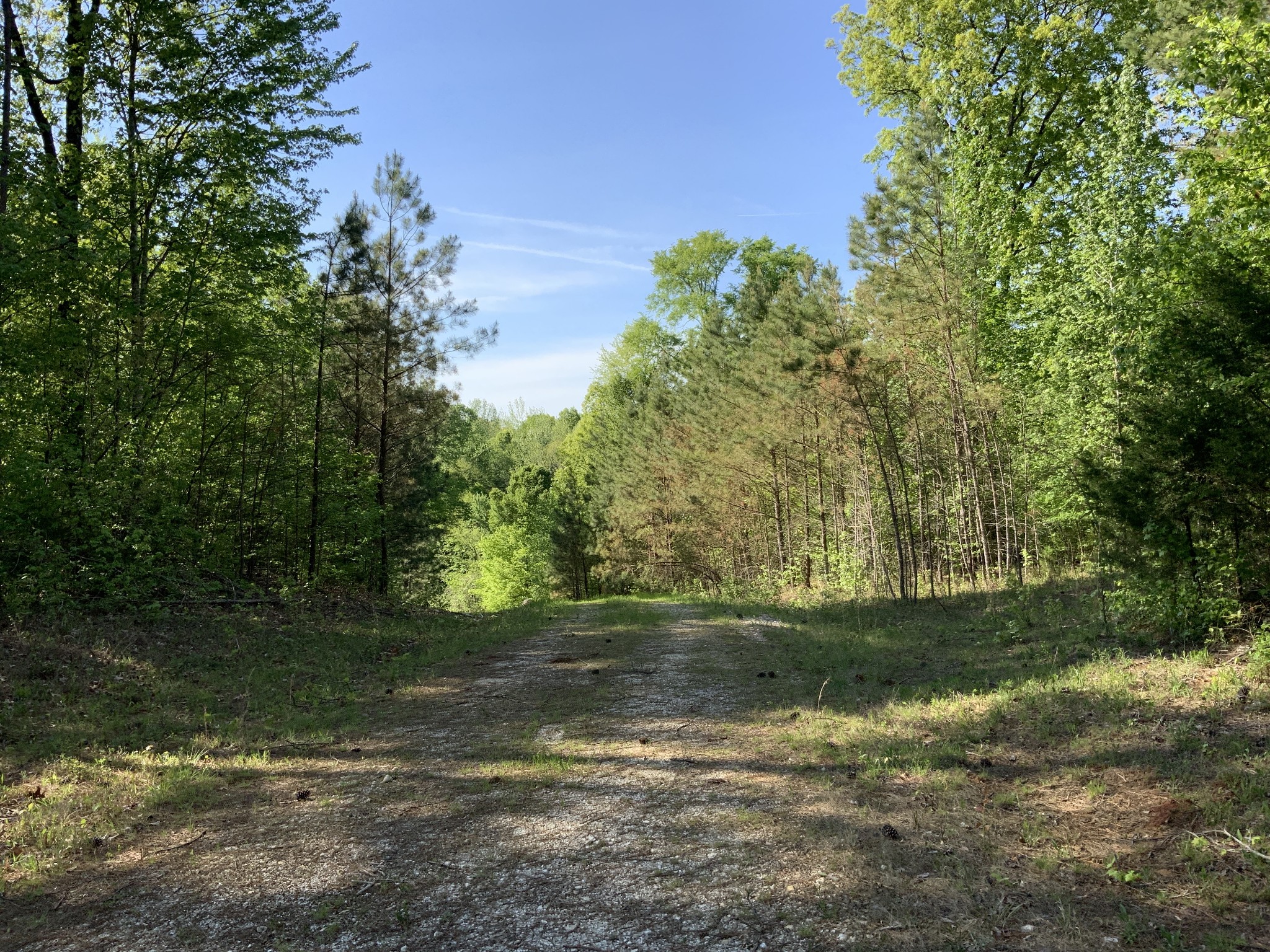 0 Manleyville Road Springville, TN 38256 - Photo 6 of 34