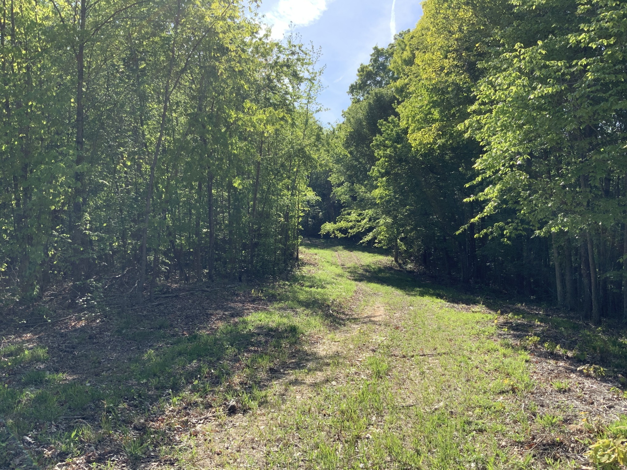 0 Manleyville Road Springville, TN 38256 - Photo 8 of 34 a view of yard