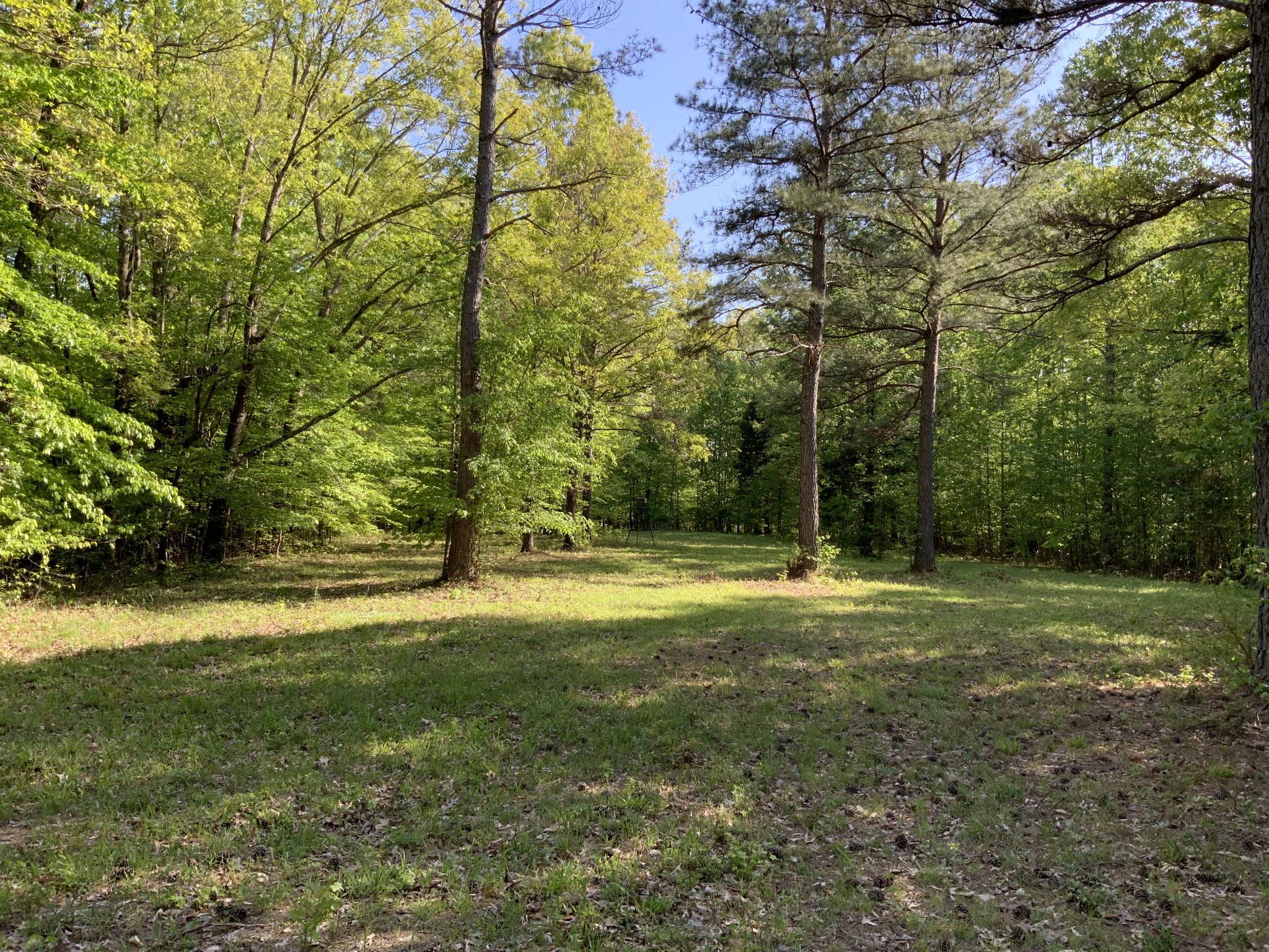 0 Manleyville Road Springville, TN 38256 - Photo 10 of 34 a view of a trees with a yard
