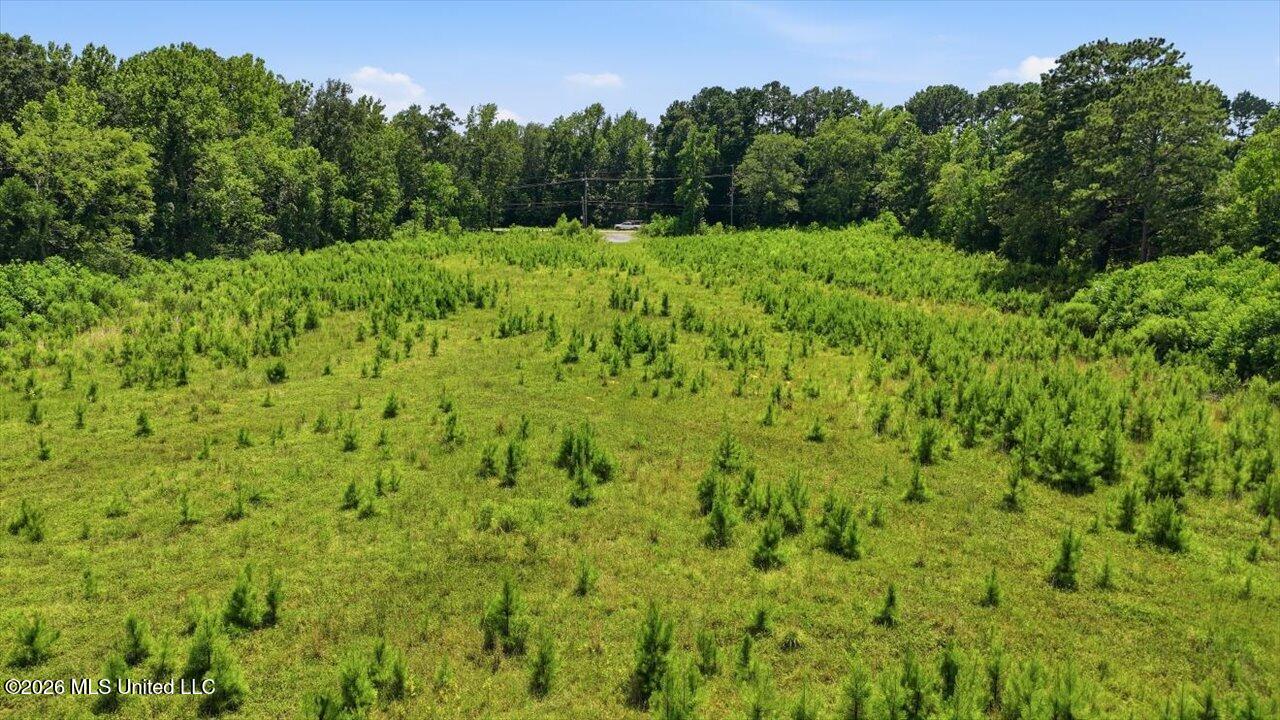 Luckney Road Brandon, MS 39042 - Photo 43 of 43 44-0 Luckney Rd _ Hometoursms.com