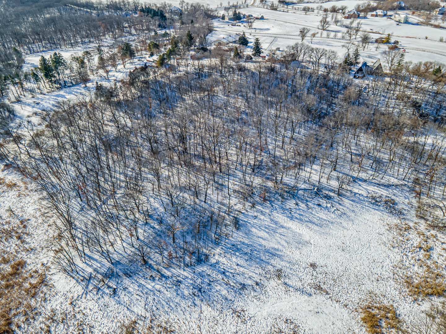 7814 North Pillow Hill Road Spring Grove, IL 60081 - Photo 57 of 62 a view of a dry yard with trees