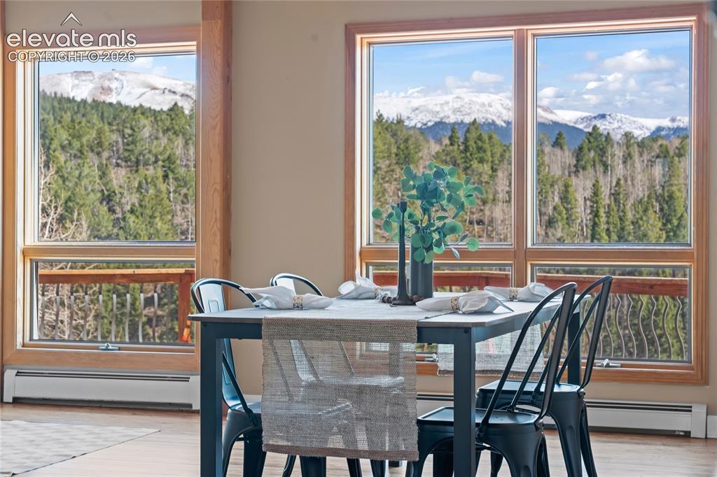 1008 Cantiberry Road Divide, CO 80814 - Photo 3 of 37