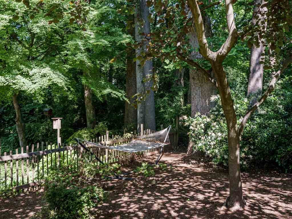 113 Hudson Street Raleigh, NC 27608 - Photo 28 of 30 Backyard