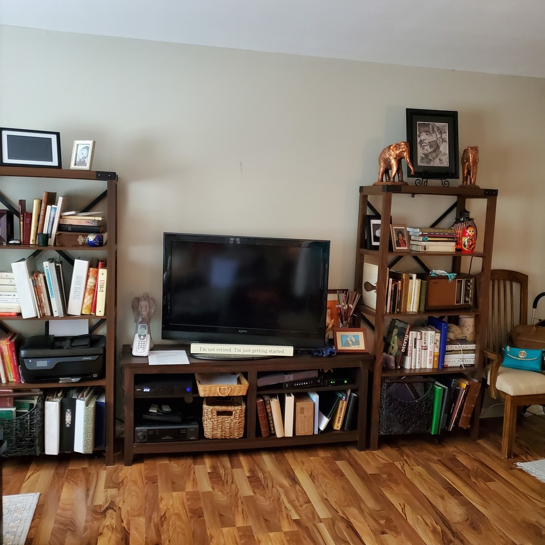 910 Washington Street, Unit 1A Evanston, IL 60202 - Photo 5 of 14 a living room with furniture and a flat screen tv