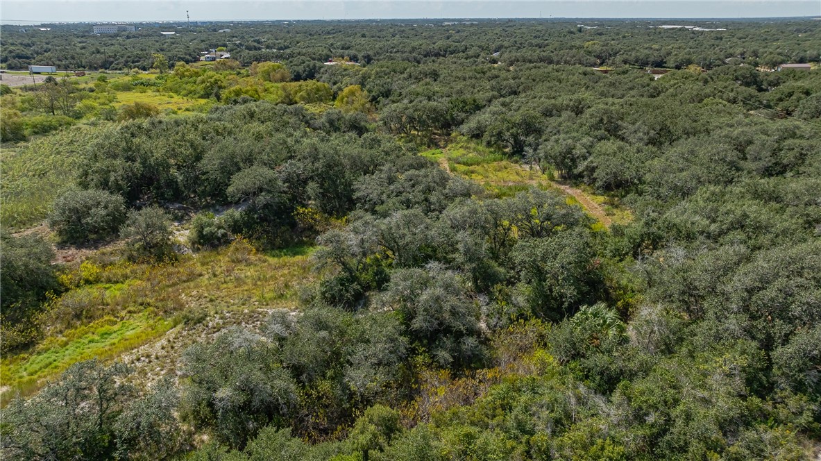 1501 Prairie Road Rockport, TX 78382 - Photo 8 of 17