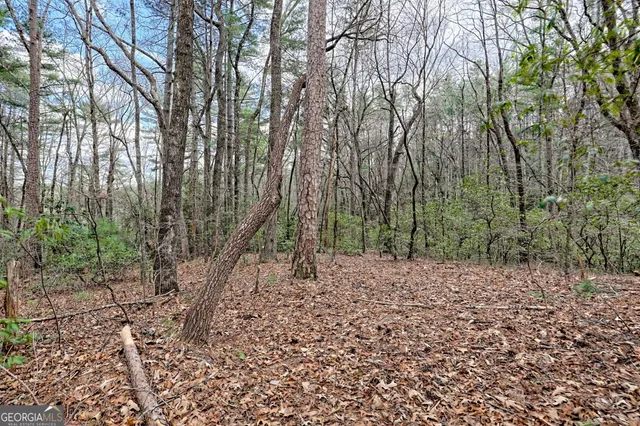 $445,000 | 508 Sterrett Road, Tiger, GA 30576