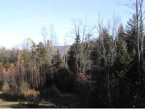 1693 Winhall Hollow Road Londonderry, VT 05155 - Photo 3 of 3 Gallery Image 3