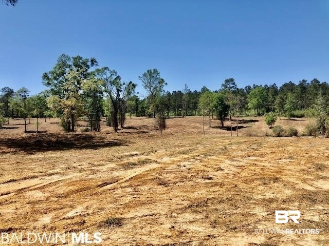 0 West 7th Street Bay Minette, AL 36507 - Photo 2 of 7