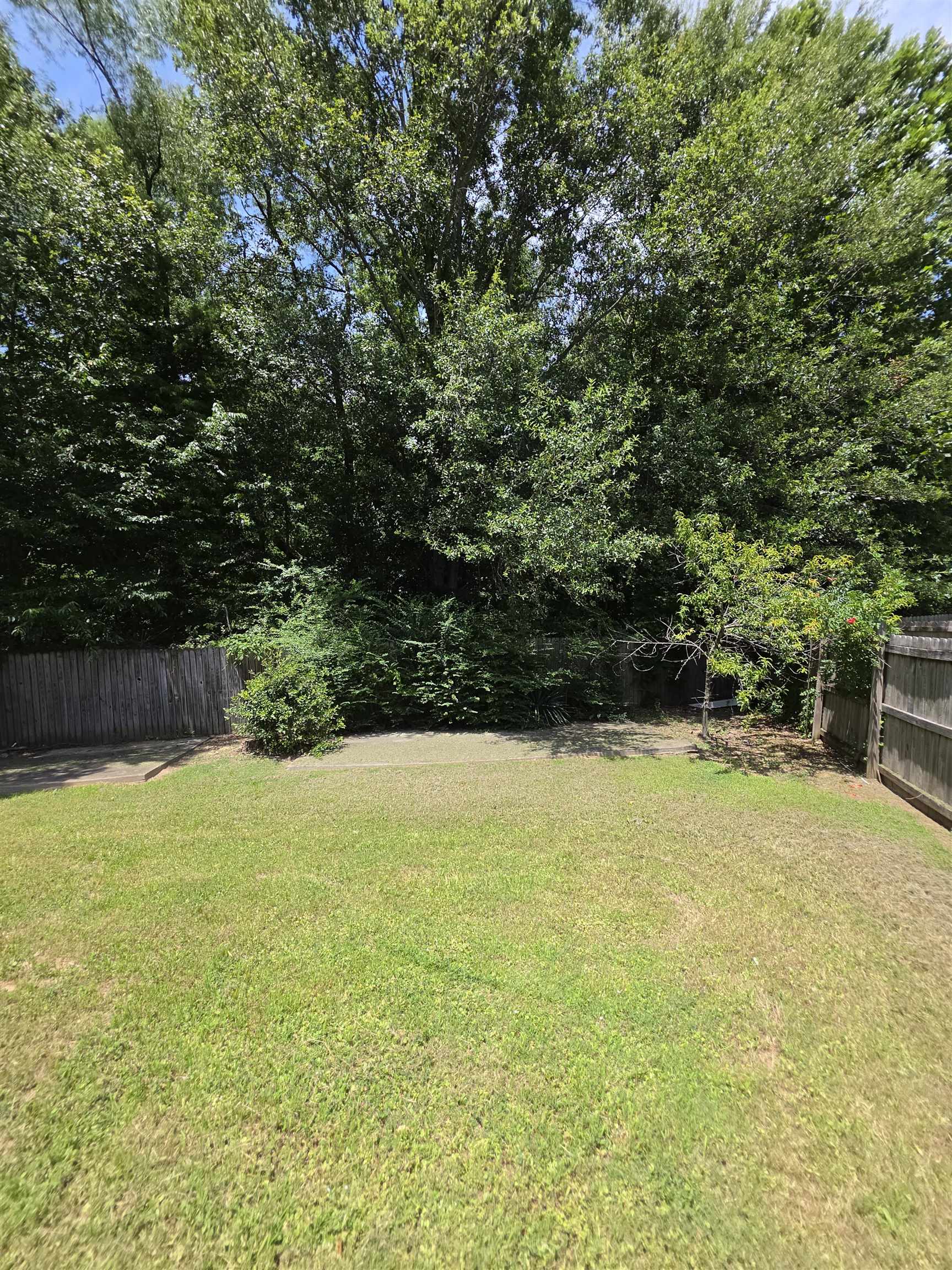 7253 Rourke Circle Memphis, TN 38125 - Photo 29 of 31 Expansive backyard featuring a lush lawn, mature trees, and a perimeter wood fence