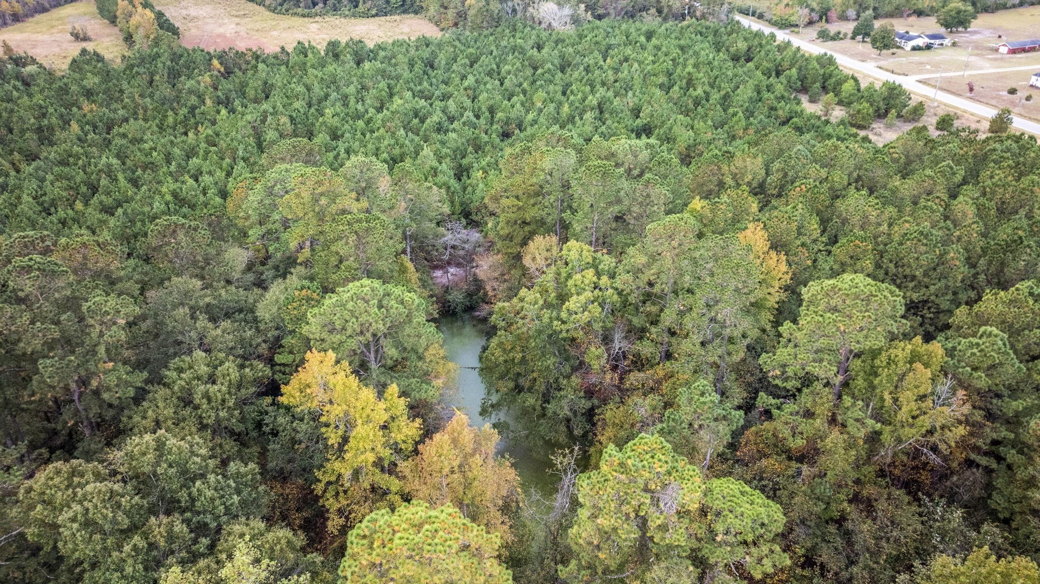 Lot 9 Creek Landing Road Nichols, SC 29581 - Photo 3 of 19