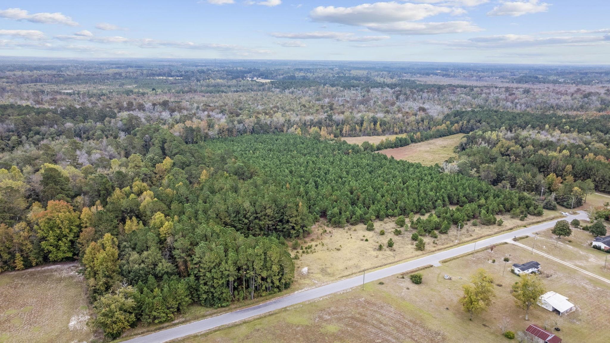 Lot 9 Creek Landing Road Nichols, SC 29581 - Photo 4 of 19
