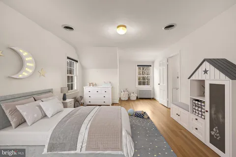 a view of a tree in a forest