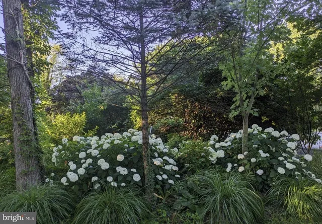 $1,495,000 | 5731 Bradley Boulevard, Bethesda, MD 20814