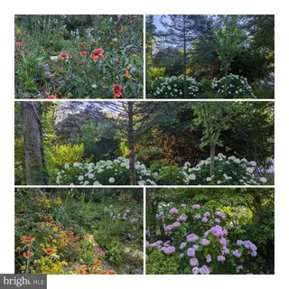 $1,495,000 | 5731 Bradley Boulevard, Bethesda, MD 20814