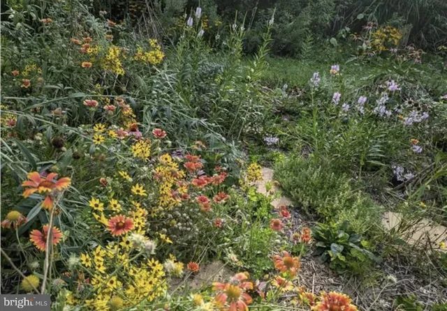 $1,495,000 | 5731 Bradley Boulevard, Bethesda, MD 20814