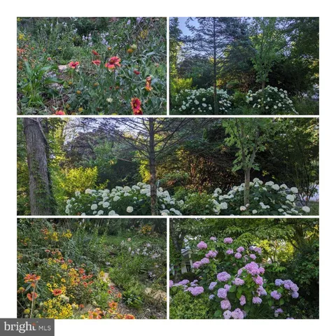 $1,495,000 | 5731 Bradley Boulevard, Bethesda, MD 20814