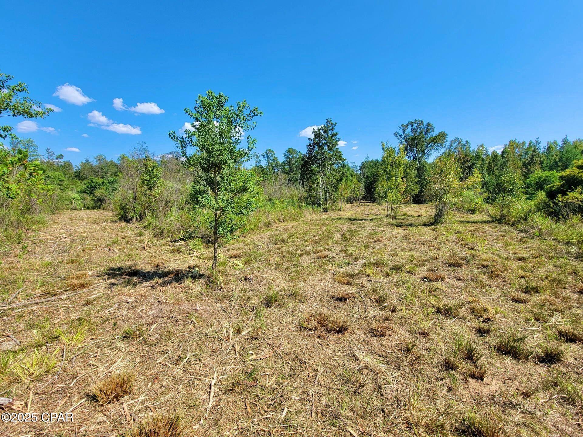 0 Gilberts Mill Road Chipley, FL 32428 - Photo 3 of 8