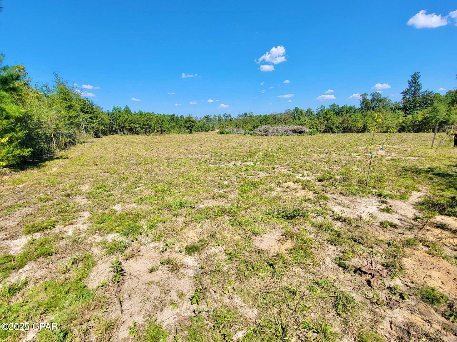 0 Gilberts Mill Road Chipley, FL 32428 - Photo 4 of 8