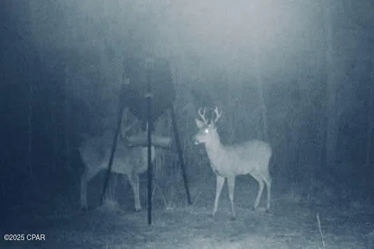 $130,000 | 0 Gilberts Mill Road, Chipley, FL 32428