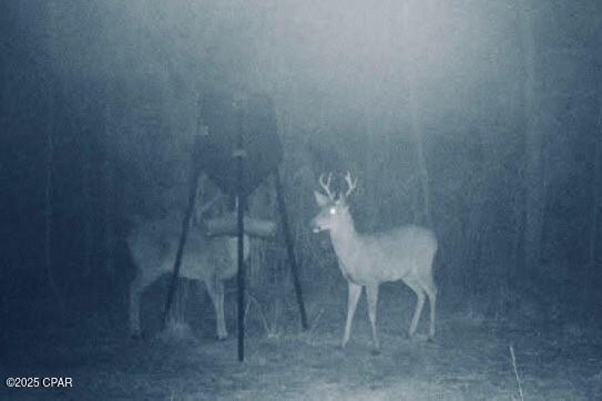 0 Gilberts Mill Road Chipley, FL 32428 - Photo 8 of 8