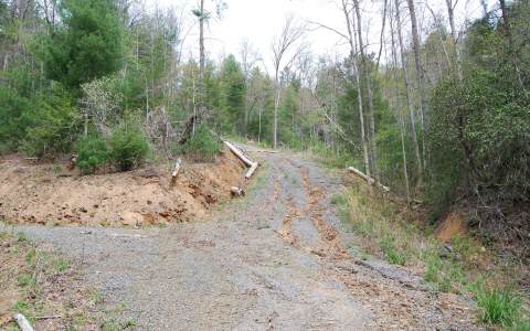 4001 Candy Mountain Road Murphy, NC 28906 - Photo 1 of 1 Main View