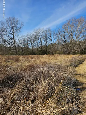 $25,000 | Tbd East Main Street, Woodland, NC 27897