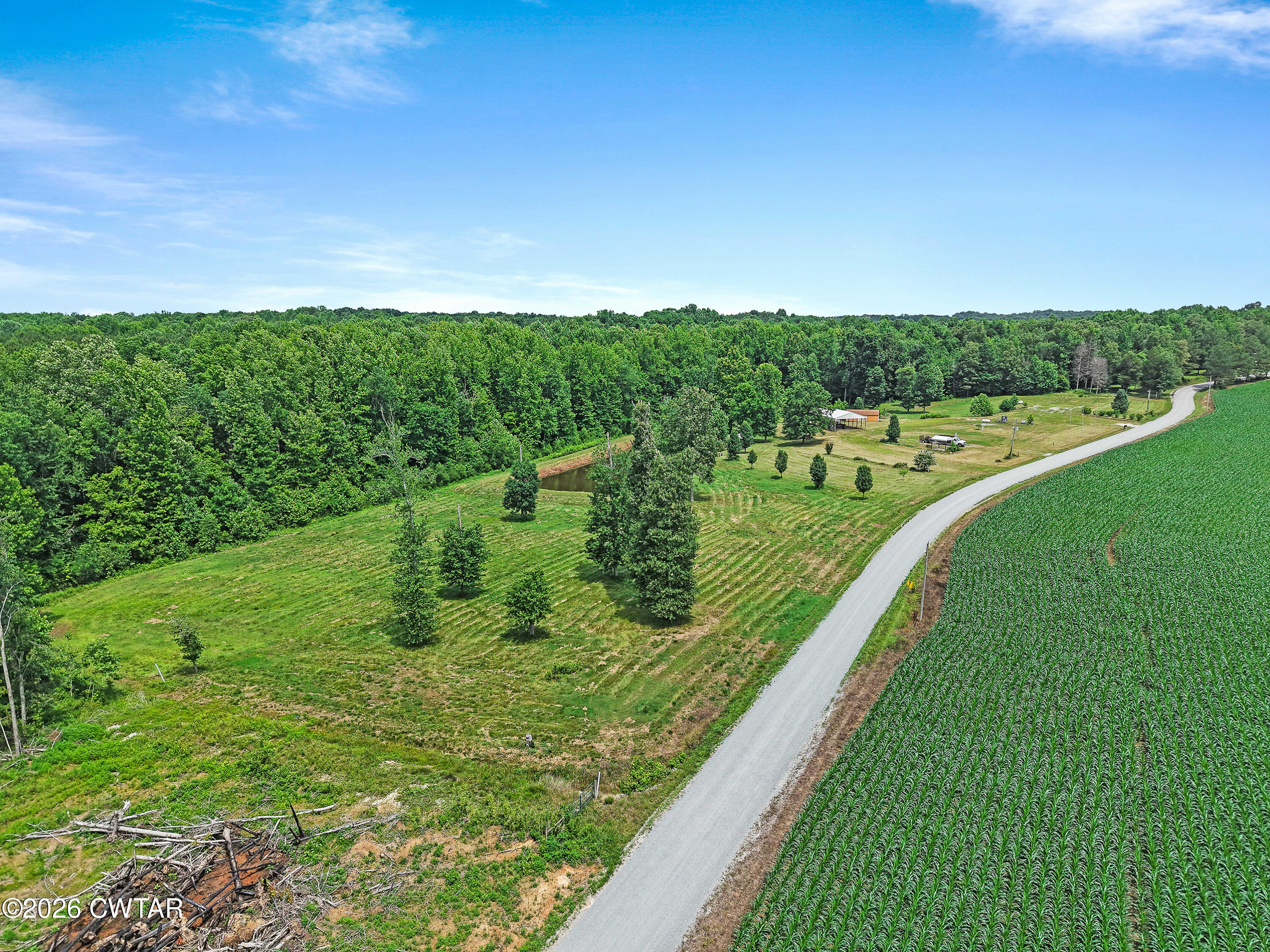 375 Adams Road Henry, TN 38231 - Photo 14 of 21 DJI_20260528114558_0964_D