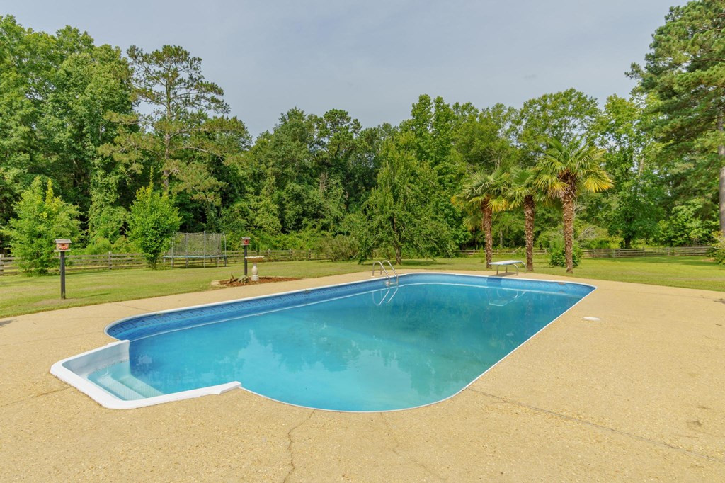 294 China Grove Road Jayess, MS 39641 - Photo 23 of 42 Photo 23