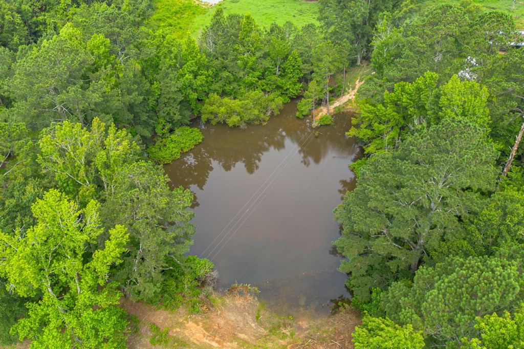 294 China Grove Road Jayess, MS 39641 - Photo 28 of 42 Photo 28