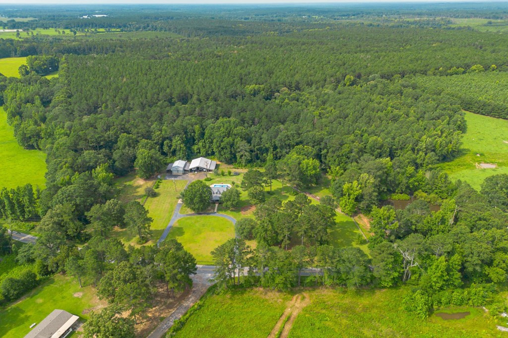 294 China Grove Road Jayess, MS 39641 - Photo 32 of 42 Photo 32