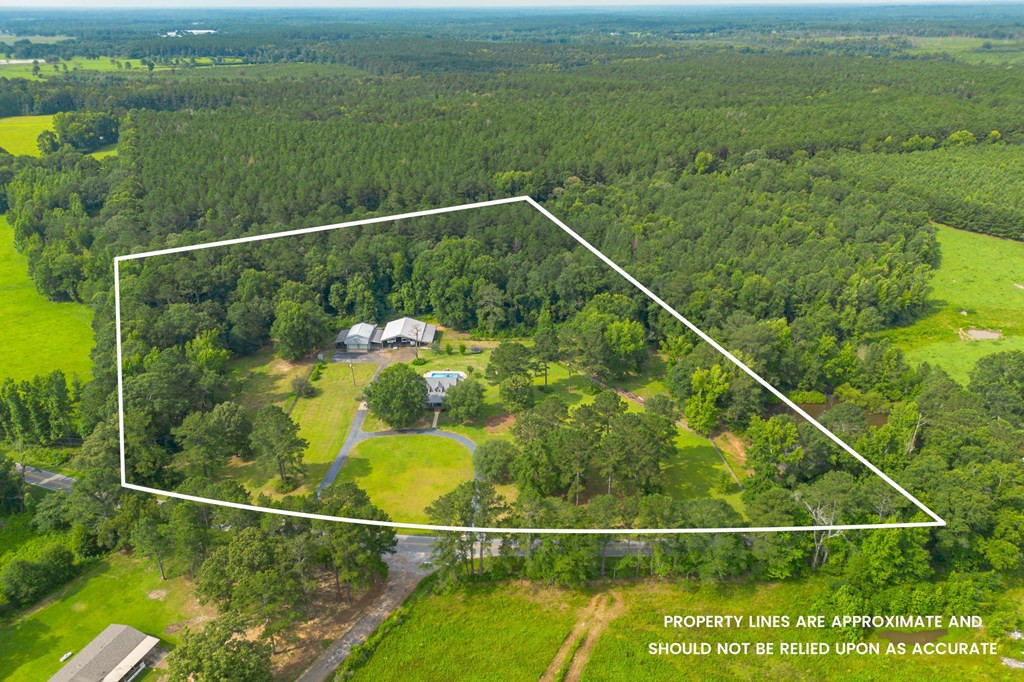 294 China Grove Road Jayess, MS 39641 - Photo 33 of 42 Photo 33