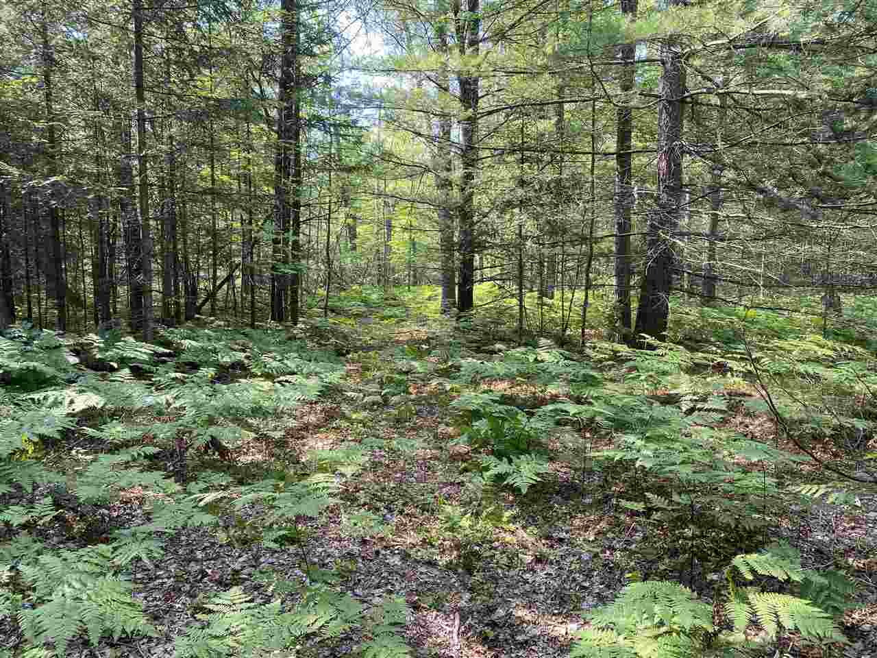 0 Briggs Road Omer, MI 48749 - Photo 15 of 45