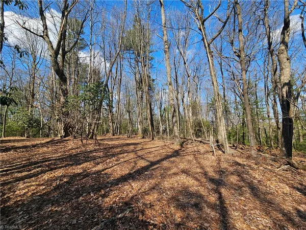 $35,000 | Tbd Tbd Mount, Glade Valley, NC 28627