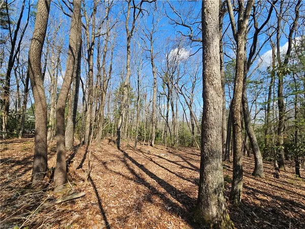 $35,000 | Tbd Tbd Mount, Glade Valley, NC 28627