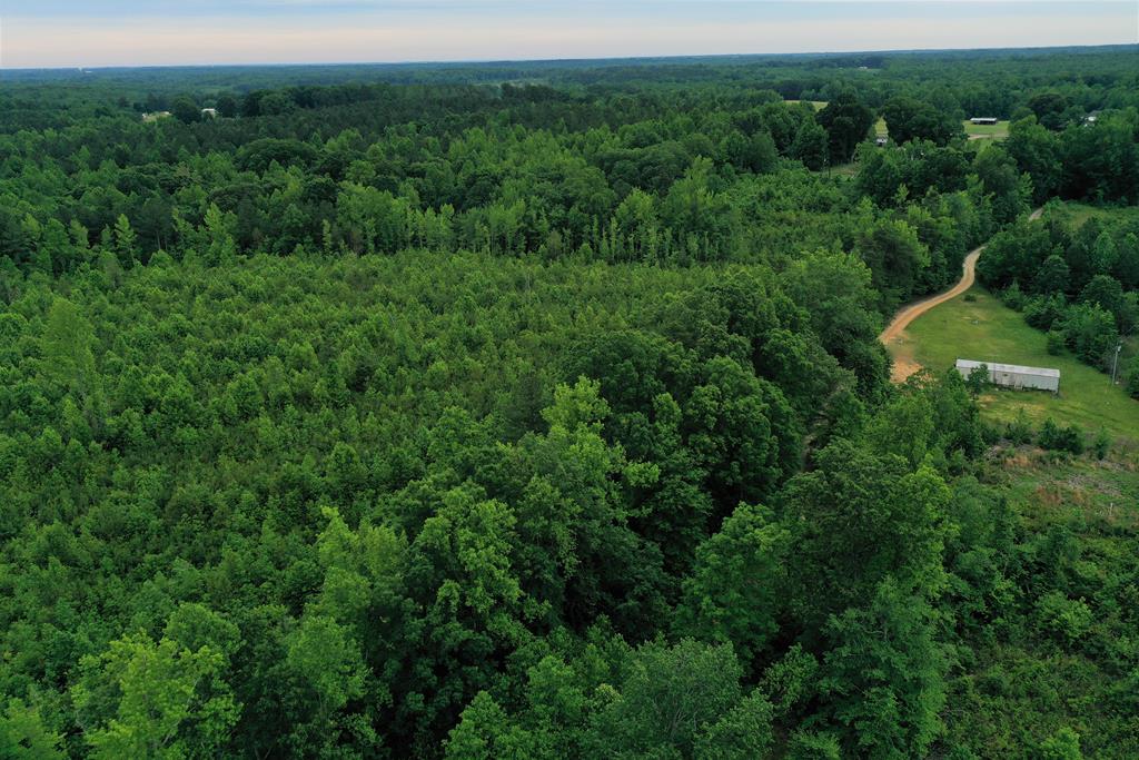 3567 Poorhouse Road Victoria, VA 23974 - Photo 25 of 39 Gallery Image 25