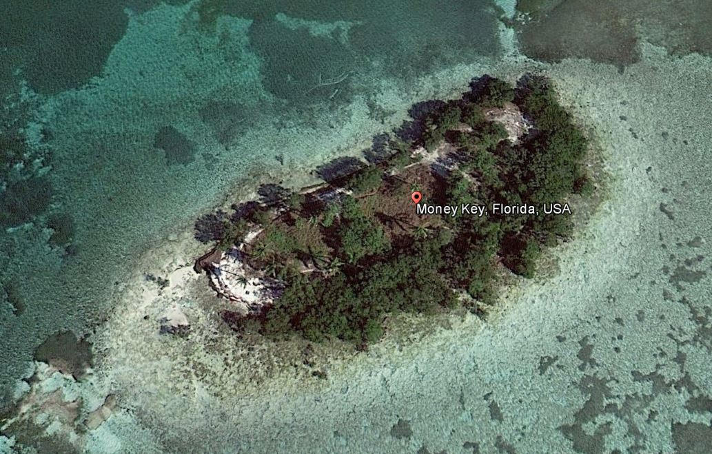 1 Money Key Street, Unit OCEAN Marathon, FL 33050 - Photo 2 of 7 a view of a forest with a tree