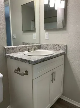 a bathroom with a sink and a mirror