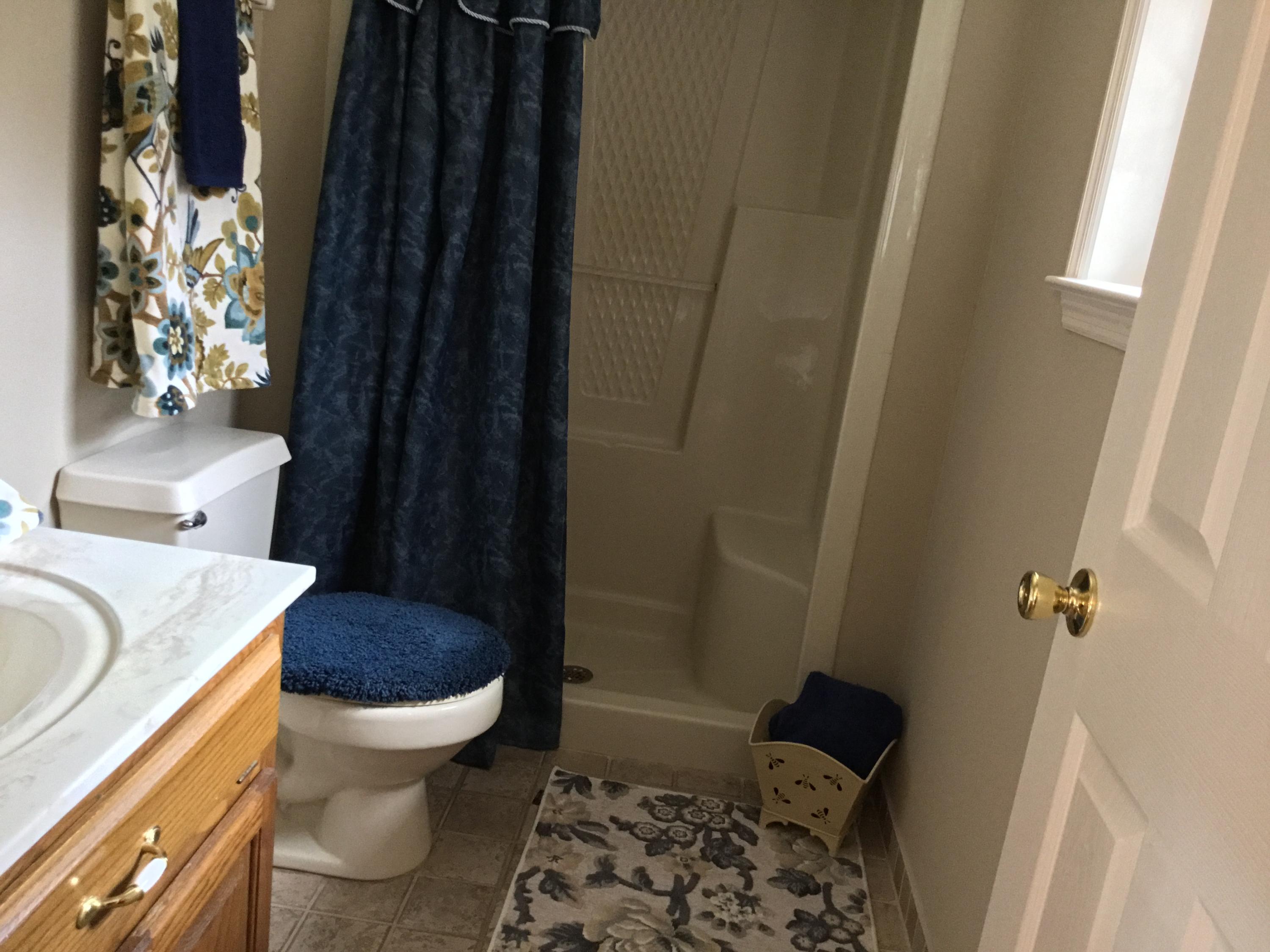 1285 Shipp Road LaFayette, GA 30728 - Photo 23 of 55 Master bath