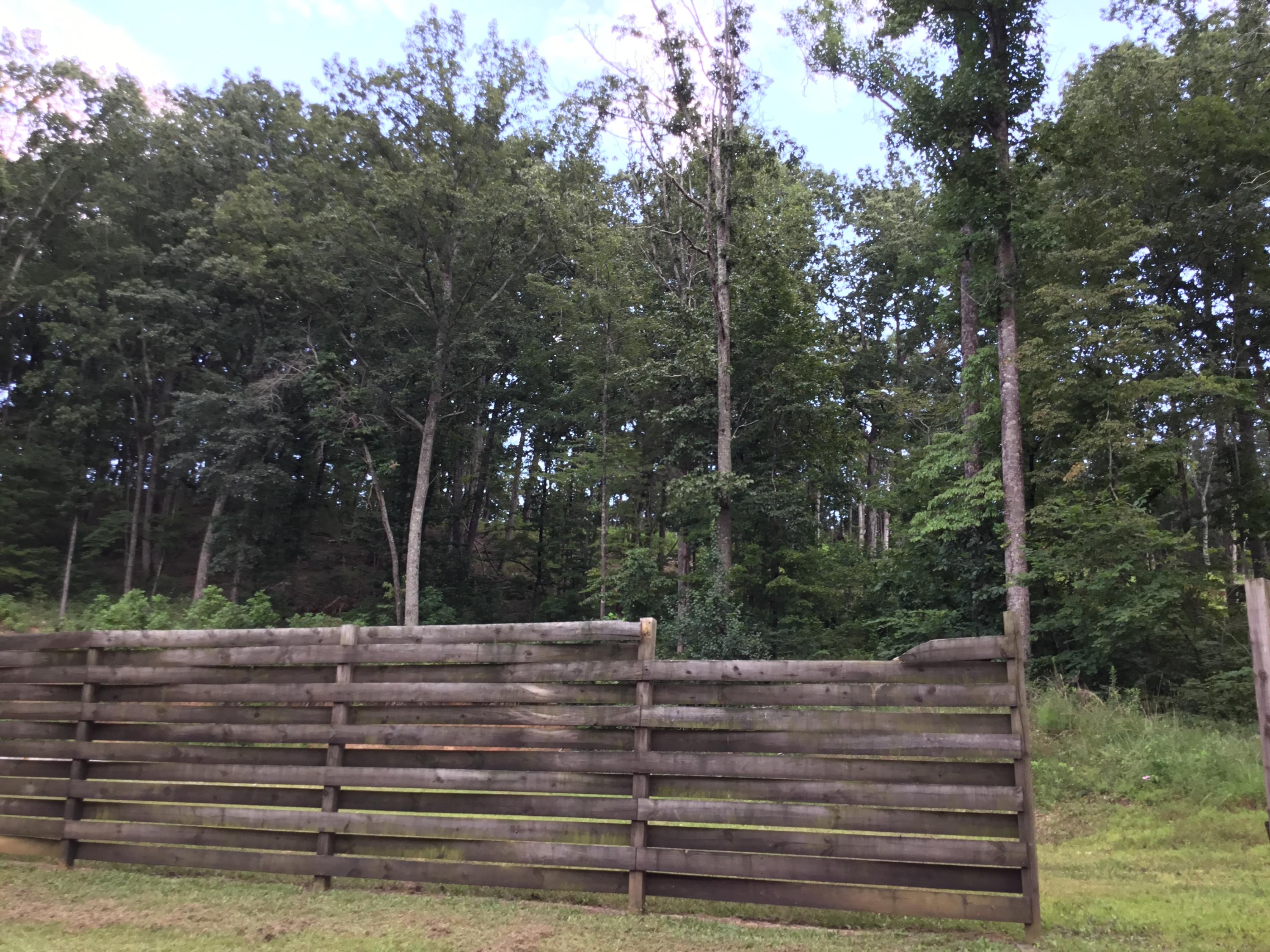 1285 Shipp Road LaFayette, GA 30728 - Photo 40 of 55 fencing