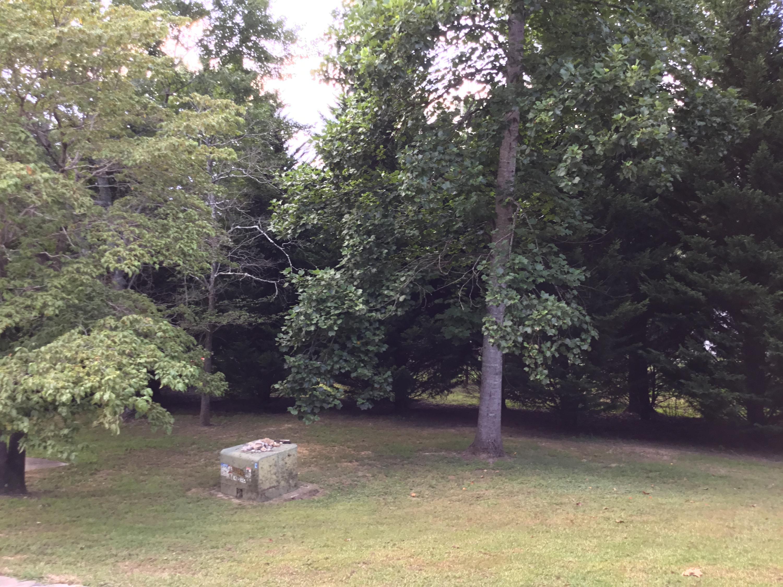 1285 Shipp Road LaFayette, GA 30728 - Photo 44 of 55 underground power