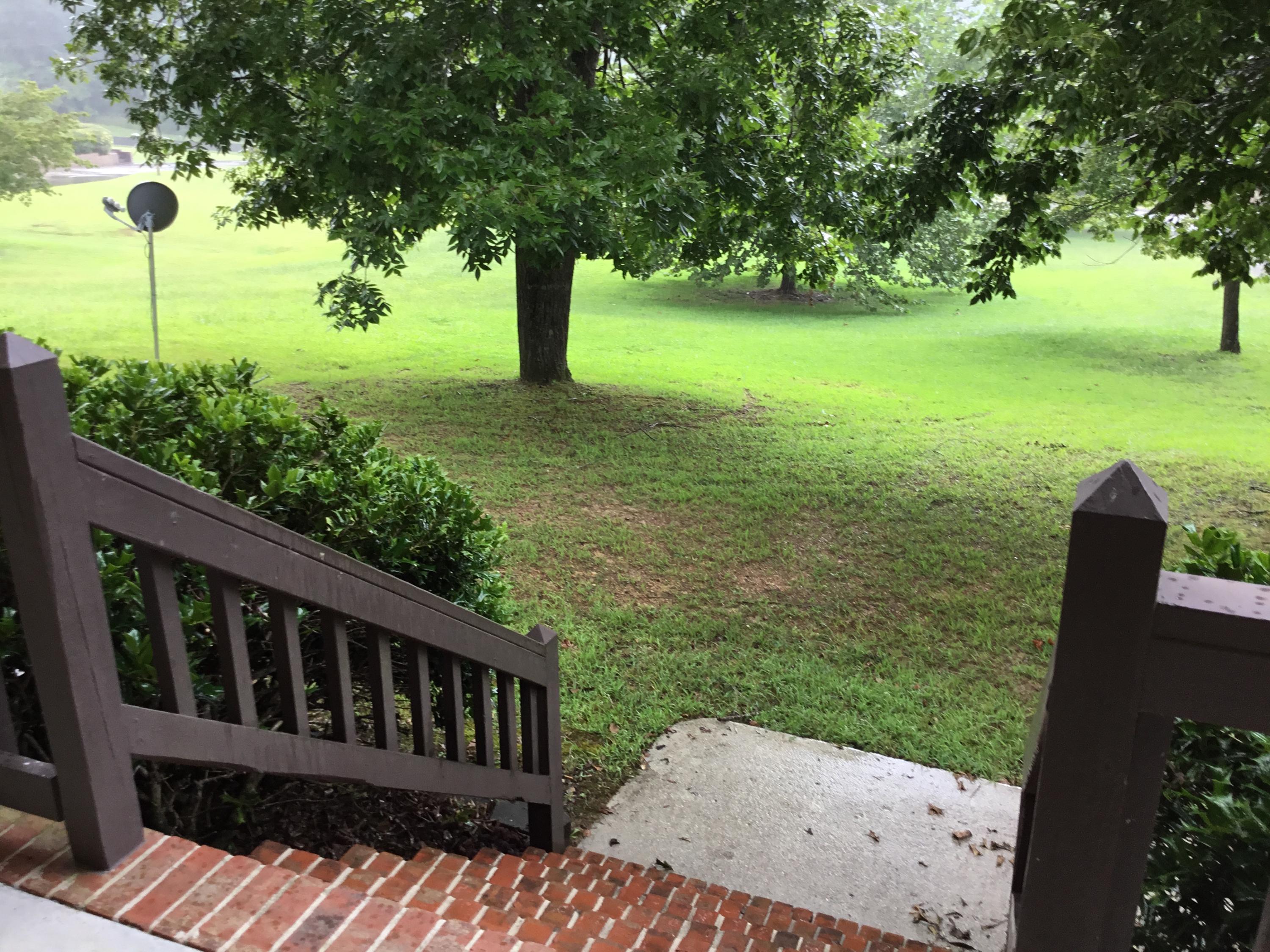 1285 Shipp Road LaFayette, GA 30728 - Photo 50 of 55 Pathway