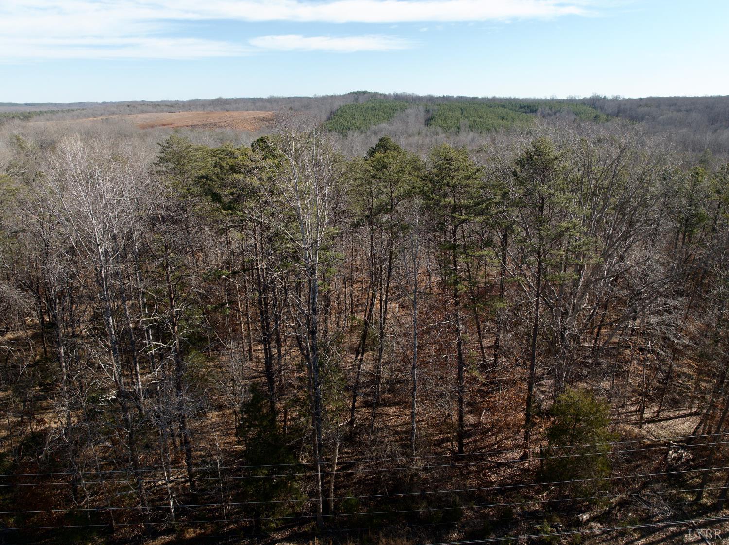 0 Salem Road Schuyler, VA 22969 - Photo 11 of 40