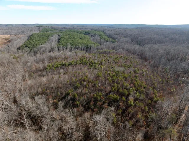 $40,000 | 0 Salem Road, Schuyler, VA 22969