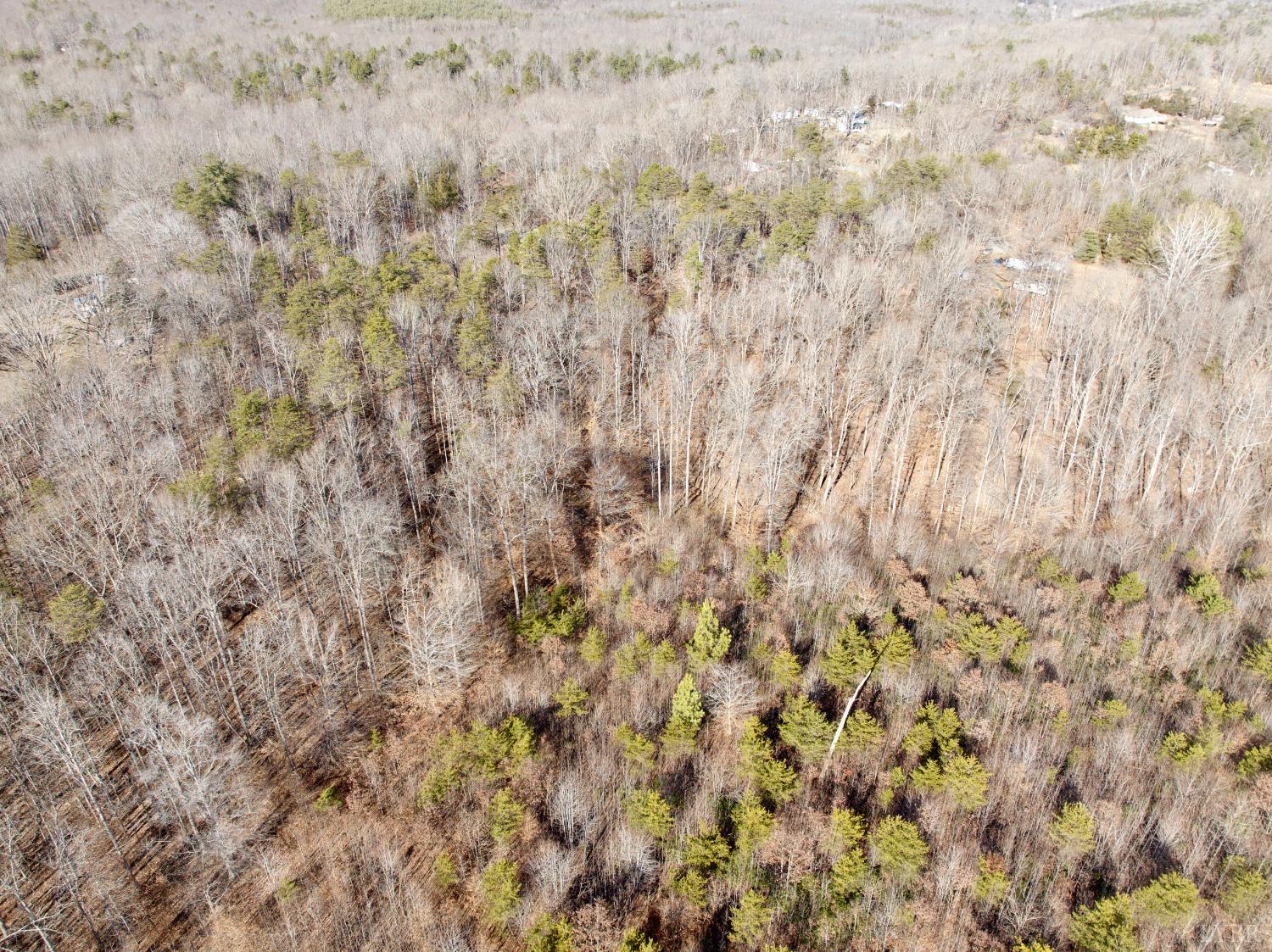 0 Salem Road Schuyler, VA 22969 - Photo 15 of 40