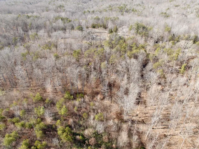 $40,000 | 0 Salem Road, Schuyler, VA 22969